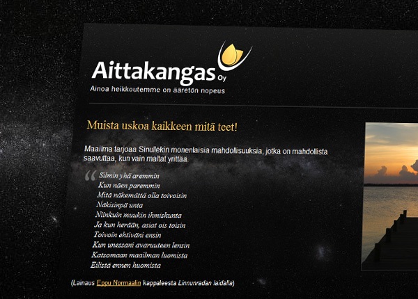 Suurennettu kuva